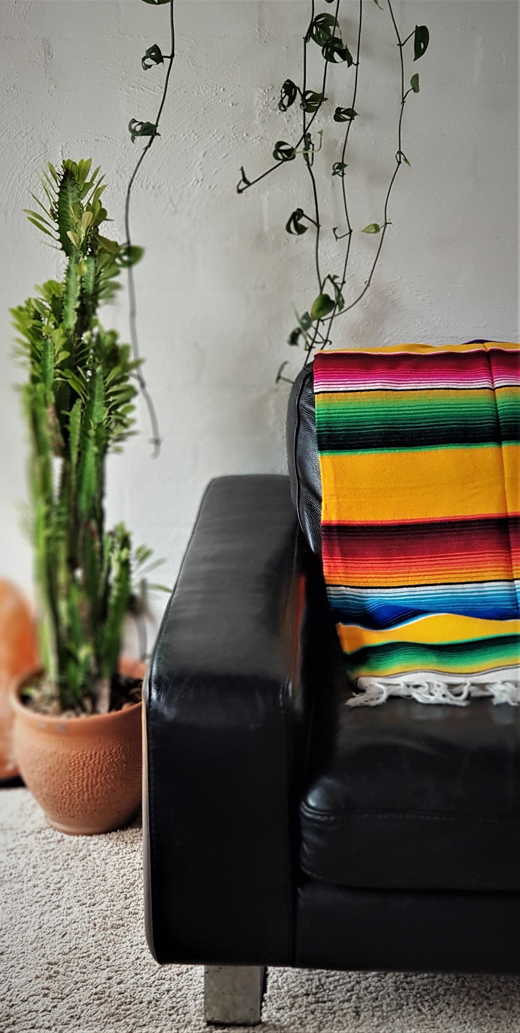 Mexican Sarape Blanket